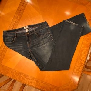 Mudd Jeans Boot Cut Size 17